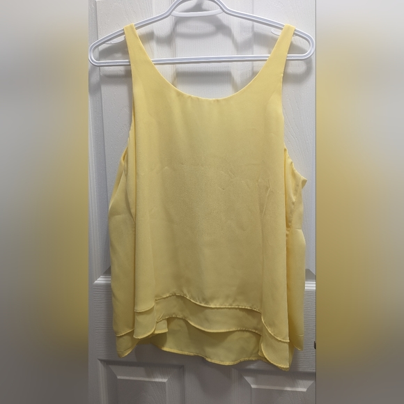 NWT Reitman V-neck Sleeveless Blouse - Picture 3 of 3